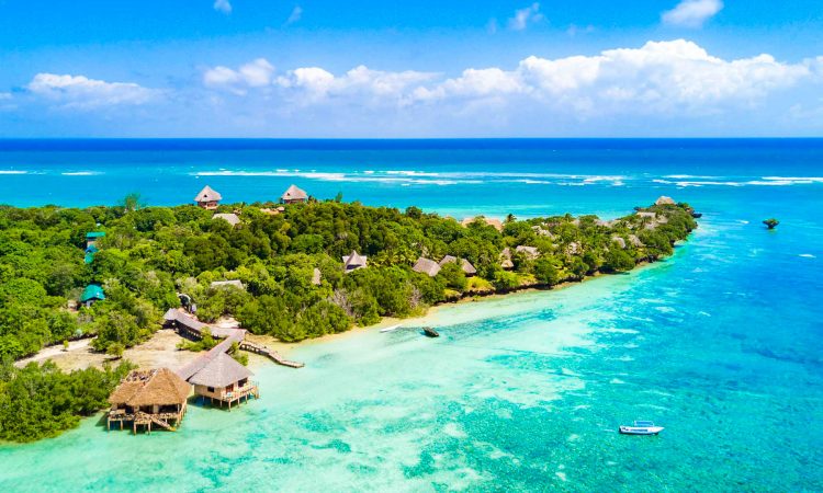 Safari vs Beach: Why Not Both?